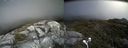 ./images/calvert/buxton2/20170625/buxton220170625_132703M.jpg