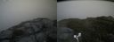 ./images/calvert/buxton2/20170625/buxton220170625_182204M.jpg