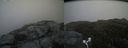 ./images/calvert/buxton2/20170625/buxton220170625_183203M.jpg