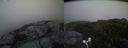 ./images/calvert/buxton2/20170625/buxton220170625_185205M.jpg
