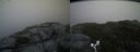./images/calvert/buxton2/20170625/buxton220170625_210203M.jpg