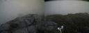 ./images/calvert/buxton2/20170626/buxton220170626_123751M.jpg