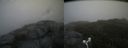 ./images/calvert/buxton2/20170626/buxton220170626_124751M.jpg