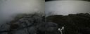 ./images/calvert/buxton2/20170626/buxton220170626_131749M.jpg