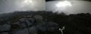 ./images/calvert/buxton2/20170626/buxton220170626_132754M.jpg