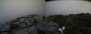 ./images/calvert/buxton2/20170626/buxton220170626_171305M.jpg
