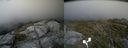 ./images/calvert/buxton2/20170626/buxton220170626_173752M.jpg