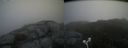 ./images/calvert/buxton2/20170627/buxton220170627_102251M.jpg
