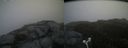 ./images/calvert/buxton2/20170627/buxton220170627_110248M.jpg