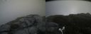 ./images/calvert/buxton2/20170627/buxton220170627_110749M.jpg