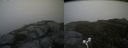 ./images/calvert/buxton2/20170627/buxton220170627_113250M.jpg