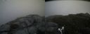 ./images/calvert/buxton2/20170627/buxton220170627_113751M.jpg