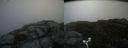 ./images/calvert/buxton2/20170627/buxton220170627_114250M.jpg