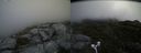 ./images/calvert/buxton2/20170627/buxton220170627_124251M.jpg