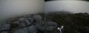 ./images/calvert/buxton2/20170627/buxton220170627_133251M.jpg