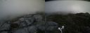 ./images/calvert/buxton2/20170627/buxton220170627_135251M.jpg