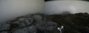./images/calvert/buxton2/20170627/buxton220170627_143751M.jpg