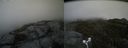 ./images/calvert/buxton2/20170627/buxton220170627_144252M.jpg