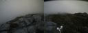 ./images/calvert/buxton2/20170627/buxton220170627_145755M.jpg