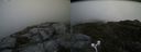 ./images/calvert/buxton2/20170627/buxton220170627_152249M.jpg