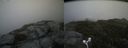 ./images/calvert/buxton2/20170627/buxton220170627_155749M.jpg