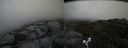 ./images/calvert/buxton2/20170627/buxton220170627_162751M.jpg