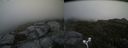 ./images/calvert/buxton2/20170627/buxton220170627_163250M.jpg