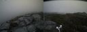 ./images/calvert/buxton2/20170627/buxton220170627_163751M.jpg