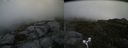 ./images/calvert/buxton2/20170627/buxton220170627_170250M.jpg