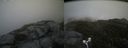 ./images/calvert/buxton2/20170627/buxton220170627_172749M.jpg