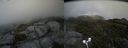 ./images/calvert/buxton2/20170627/buxton220170627_175252M.jpg