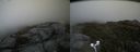 ./images/calvert/buxton2/20170627/buxton220170627_183752M.jpg