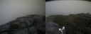 ./images/calvert/buxton2/20170627/buxton220170627_184751M.jpg
