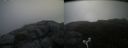 ./images/calvert/buxton2/20170628/buxton220170628_085530M.jpg
