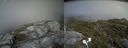 ./images/calvert/buxton2/20170628/buxton220170628_154532M.jpg