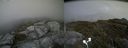 ./images/calvert/buxton2/20170628/buxton220170628_160532M.jpg