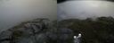 ./images/calvert/buxton2/20170701/buxton220170701_072412M.jpg