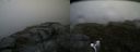 ./images/calvert/buxton2/20170701/buxton220170701_084912M.jpg