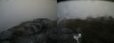 ./images/calvert/buxton2/20170701/buxton220170701_092412M.jpg