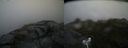 ./images/calvert/buxton2/20170701/buxton220170701_092910M.jpg