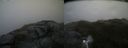 ./images/calvert/buxton2/20170701/buxton220170701_100910M.jpg