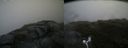 ./images/calvert/buxton2/20170701/buxton220170701_111915M.jpg
