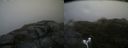 ./images/calvert/buxton2/20170701/buxton220170701_121909M.jpg