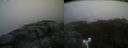 ./images/calvert/buxton2/20170701/buxton220170701_123908M.jpg