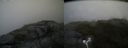 ./images/calvert/buxton2/20170701/buxton220170701_154912M.jpg