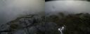 ./images/calvert/buxton2/20170701/buxton220170701_161410M.jpg