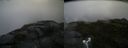 ./images/calvert/buxton2/20170701/buxton220170701_192912M.jpg
