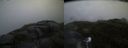 ./images/calvert/buxton2/20170701/buxton220170701_213909M.jpg