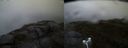 ./images/calvert/buxton2/20170701/buxton220170701_214911M.jpg