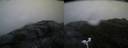 ./images/calvert/buxton2/20170702/buxton220170702_050837M.jpg